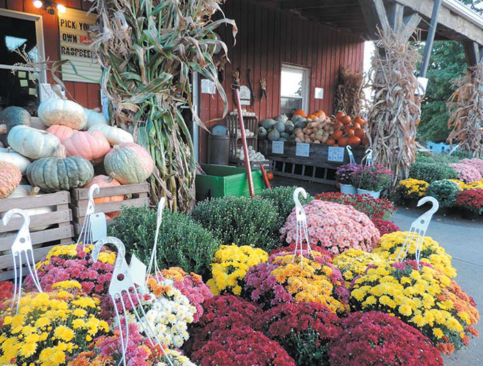 Hillcrest's storefront adorned with fall decor