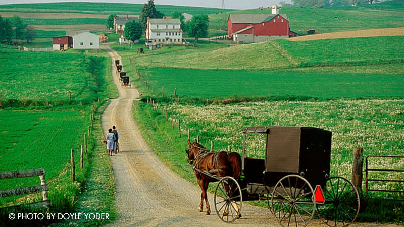 About the Tobe Amish Order