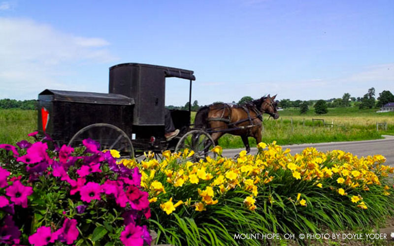 About the Dan Church Amish order