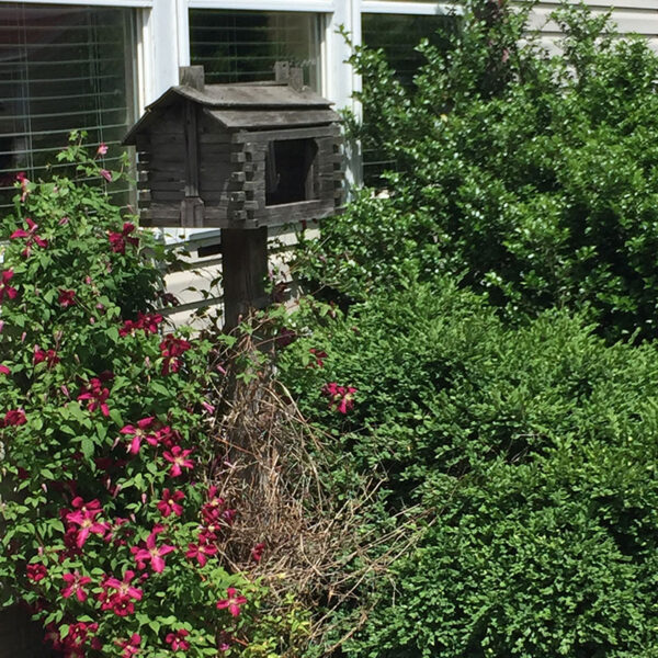Mel & Mary's Cottages - Image 8